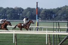 HORSES RACING AT BELMONT PARK 1981 35mm PHOTO SLIDE picture