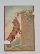 Victorian Tradecard 1881 Geo M Hayes Fox Grapes  Blue Binder picture