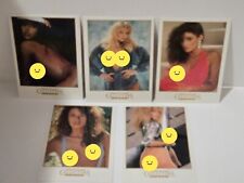 1992 Penthouse Trading Cards - Lot of 5 Cards picture