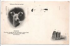 Francis the dog Hotel St. Francis San Francisco CA Earthquake Postcard 1909 picture