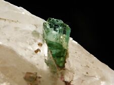 Green Verdelite TOURMALINE Crystal Cluster on Quartz Brazil 151gr picture