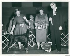 1959 Champion El Campeon'S Diosa Doberman Pinscher, Lakewood Animals Photo 8X10 picture