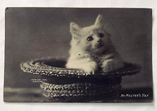 My Master's Hat Gebullard Copyright 1904 Vintage Postcard picture