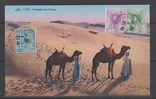 SUPERB CPA CARD ALGERIA 1933 ALGIERS PR CALUIRE CAMELS DUNES  picture