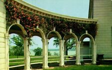 Restoration Re-Planting Of Coral Honeysuckle Mount Vernon Virginia Postcard picture