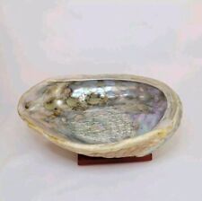 Vintage Large Footed Abalone Shell Mid Century Trinket Bowl Ashtray  picture