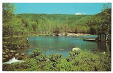 Cheaha State Park Alabama c1950's Cheaha Lake, Cheaha Mountain, man fishing picture
