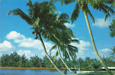 Sebastian FL Florida, Whispering Palms RV Park, Vintage Postcard picture