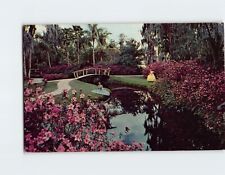 Postcard Midnight Floral Array in a Tropical Setting Florida's Cypress Gardens picture