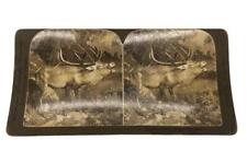 Antique Stereoview Card Natural History Series ELK American Stereoscopic Co 1902 picture