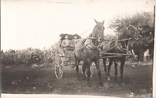 Photo Postcard RPPC Two Horse Buggy Two Men Unusual picture