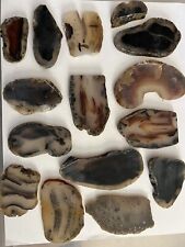 really old yellowstone Montana Moss  & Banded Agate Slab Lot slabs j picture