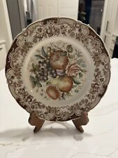 HTF Dish Semi-Porcellana Johnson Bros England Drawing Collection Windsor Ware picture