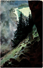 High Up in the Swiss Alps #1 German American Novelty Art Series 1908 Postcard picture