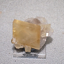 Barite on Fluorite, Rock Candy Mine, Grand Forks, British Columbia,  Canada picture