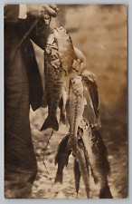 RPPC Man Holding Fish on a Line c1920 Real Photo Postcard picture