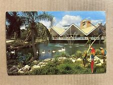 Postcard Florida FL Tampa Busch Gardens Lagoon Hospitality House Birds Vintage picture