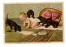 1900s Imperial Granium Victorian Trade Card Unsweetened Food Baby & Puppy Dogs picture