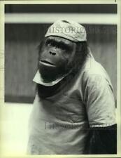 1983 Press Photo Mr. Smith, intelligent orangutan in NBC-TV comedy series picture