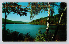 Postcard Wisconsin Siren WI Lake Birch Tree Greetings 1959 Posted Chrome picture