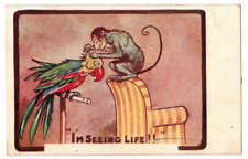 Vintage Postcard 'I'm Seeing Life' Humor Monkey & Parrot 1913 picture