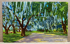 The Pakenham Oaks New Orleans Louisiana Postcard picture