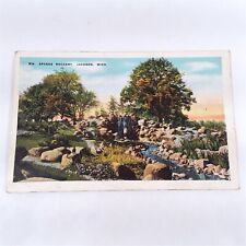 Jackson Michigan -William Sparks Rockery- Waterfall Creek Postcard 1915-30 picture