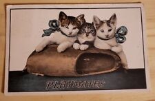 Vintage Posted Cat Kitten Postcard 