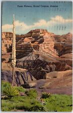 VINTAGE POSTCARD VIEW OF TONTO PLATEAU IN THE GRAND CANYON ARIZONA POSTED 1953 picture