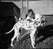 Vintage Old 1940 Funny Photo Negative of Man Babysitting & Washing Dalmatian DOG picture