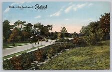 Cleveland Ohio, Rockefeller Boulevard Street View, Vintage Postcard picture