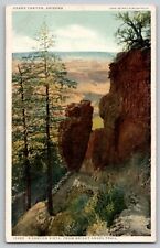 c 1910's Grand Canyon AZ Bright Angel Trail Detroit Publishing Vintage Postcard picture