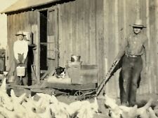 2H Photograph 1925 Man Chicken Farmer Son Boy Old Wood Barn Poultry  picture