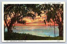 Postcard Sunset Scene on Lake Griffin, Leesburg Florida FL picture