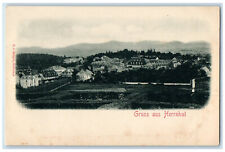 c1905 Greetings from Herrnhut Görlitz Saxony Germany Unposted Postcard picture