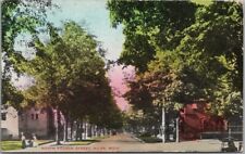 NILES, Michigan Postcard 
