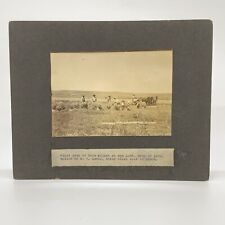 Cabinet Card Real Photo First Crop of Oats G.W. Lewis Farm Limon CO 1909 picture