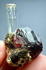 19 Cts Unusual  Aquamarine Crystal On Top Red Spessartine Garnet Skardu @PaK picture