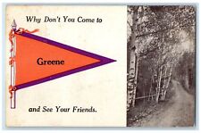 c1920's Why Don't You Come Greene & See Your Friends Dirt Road Trees Postcard picture
