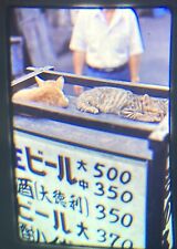 1987 Tokyo Shinjuku Japan Street Scene Original 35mm Kodachrome Slide Cats Sake picture