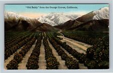 Mount Baldy, San Gabriel Mountains, Orange Groves, California Vintage Postcard picture