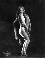 Vintage Photo 8.5x11   #25142 Lovely Burlesque Stripper picture