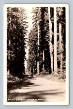 Rppc Washington The Beautiful Highway through the Timber Postcard picture