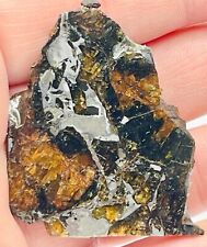 ADMIRE 16.7g Pallasite Meteorite, Partial Slice, IMCA #s 6236 & 7294 Sellers picture