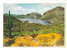Postcard Springtime near Canyon Lake along Apache Trail, Arizona picture