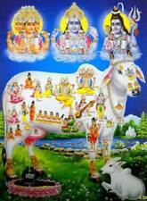 Auspicious Kamdhenu Cow Hindu Goddess Poster with Glitter (Size 12