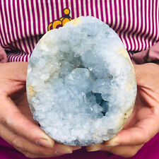 2.72LB natural blue celestite geode quartz crystal mineral specimen healing picture