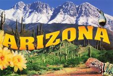Arizona Scenic View Desert Cactus Mountains Chrome Postcard Unposted Unused picture