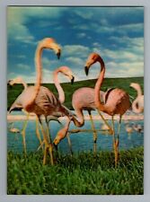 Vintage 1980s Flamingo 3-D Postcard Toppan Top Stereo Zurich picture