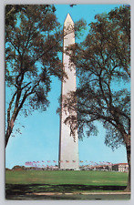 Washington DC Washington Monument Cherry Blossoms Bloom Early April Postcard picture